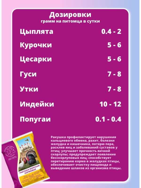 Ракушка кормовая 1 кг, 5 шт — изображение 2